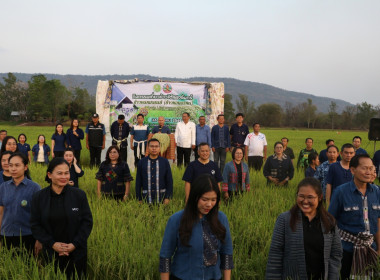 ร่วมกิจกรรมขับเคลื่อนสินค้าเกษตรมูลค่าสูง ... พารามิเตอร์รูปภาพ 1