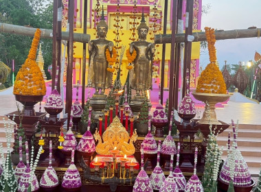 ร่วมพิธีถวายตัวเป็นลูกหลานพระบางคู่และจุดฝางประทีป พารามิเตอร์รูปภาพ 2